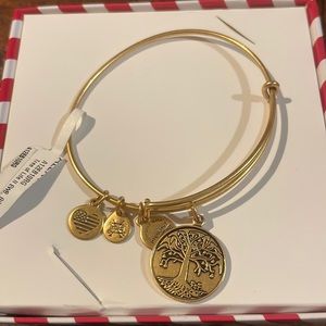 Alex & Ani tree of life bracelet